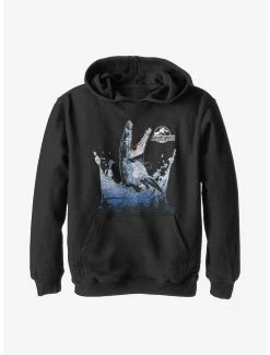 Jurassic World Flipper Youth Hoodie