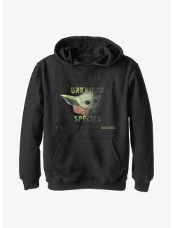 Star Wars The Mandalorian Unknown Species Youth Hoodie
