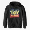 Disney Pixar Toy Story 3D Logo Youth Hoodie