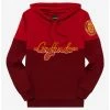 Harry Potter Gryffindor Crest Panel Hoodie - BoxLunch Exclusive