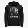 Marvel Ant-Man And The Wasp Ant-Man Helmet Hoodie