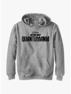 Marvel Ant-Man And The Wasp: Quantumania Logo Youth Hoodie