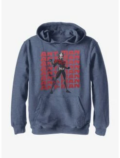 Marvel Ant-Man And The Wasp: Quantumania Action Pose Youth Hoodie