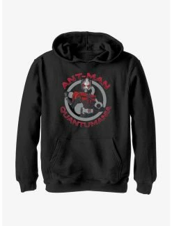 Marvel Ant-Man And The Wasp: Quantumania Ant-Man Badge Youth Hoodie